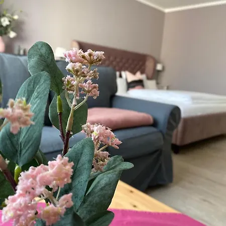 City-appartement 12.3. Zwickau